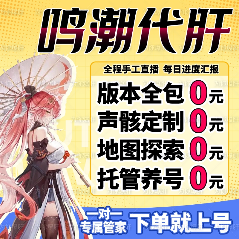 鸣潮代打代肝带代练跑全地图探索度国际主线任务星声骸托管数据坞