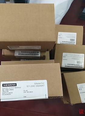 【议价】200smart EM DT08 DQ8x24VDC-议价