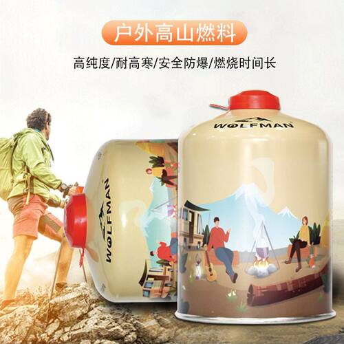 户外高山气罐扁气罐旅行燃气罐野炊神器液化气防爆气罐耐低温气罐