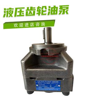 内啮合齿轮泵CPVE-8 10 12 14 16 20 23 25 28 31 R液压油泵议价