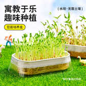 日本SP豆苗培养盒豆芽发芽盆水培蔬菜豌豆苗种植架无土栽培育苗盘