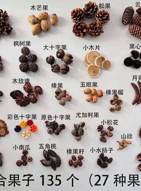 天然果实幼儿园环创材料拍摄道具