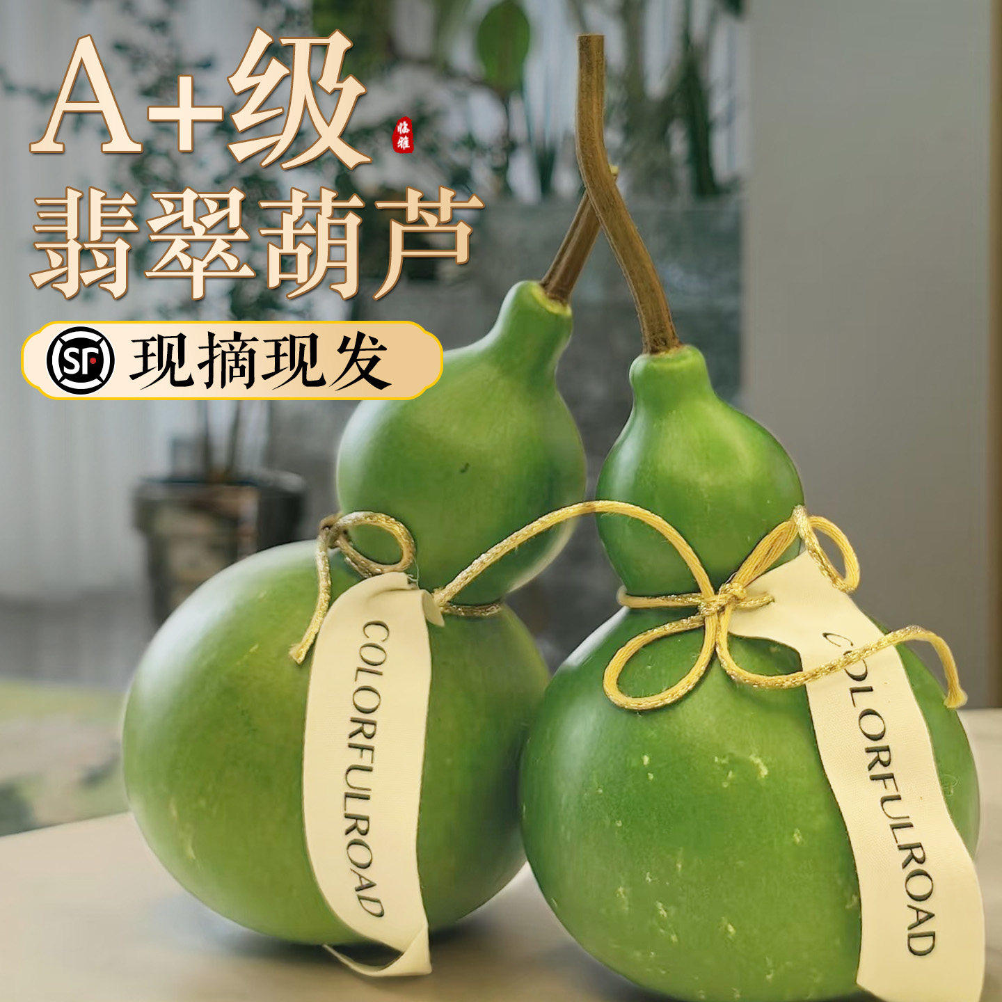 翡翠葫芦摆件佛手柑鲜果植物云南天然新鲜观赏桌面福禄闻香橼托盘
