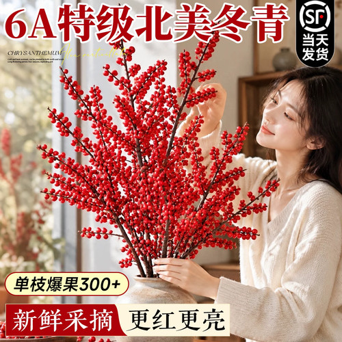 北美冬青红果鲜切枝真花鲜花水养发财年宵花卉春节客厅插瓶装饰