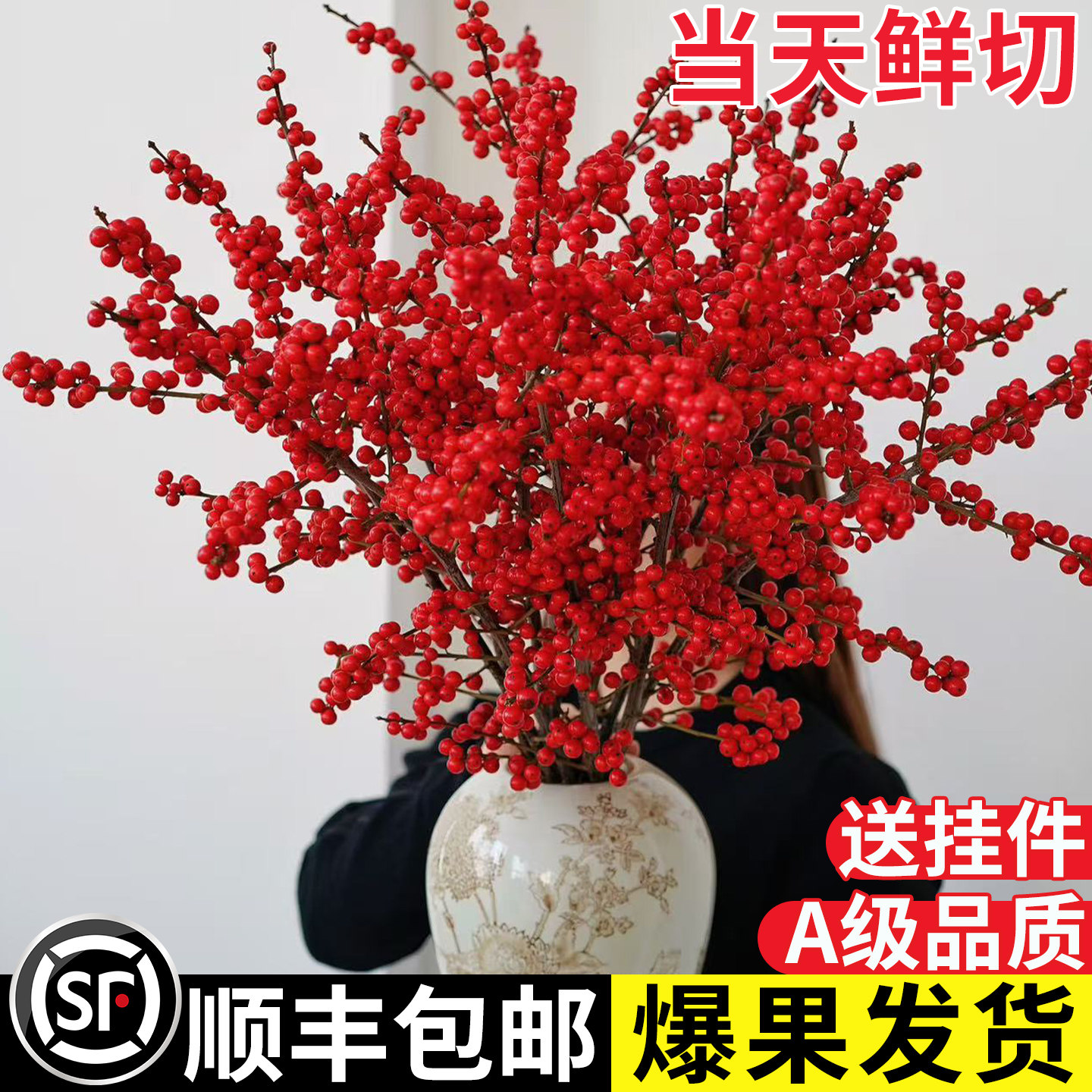 【顺丰包邮】北美冬青红果真鲜花