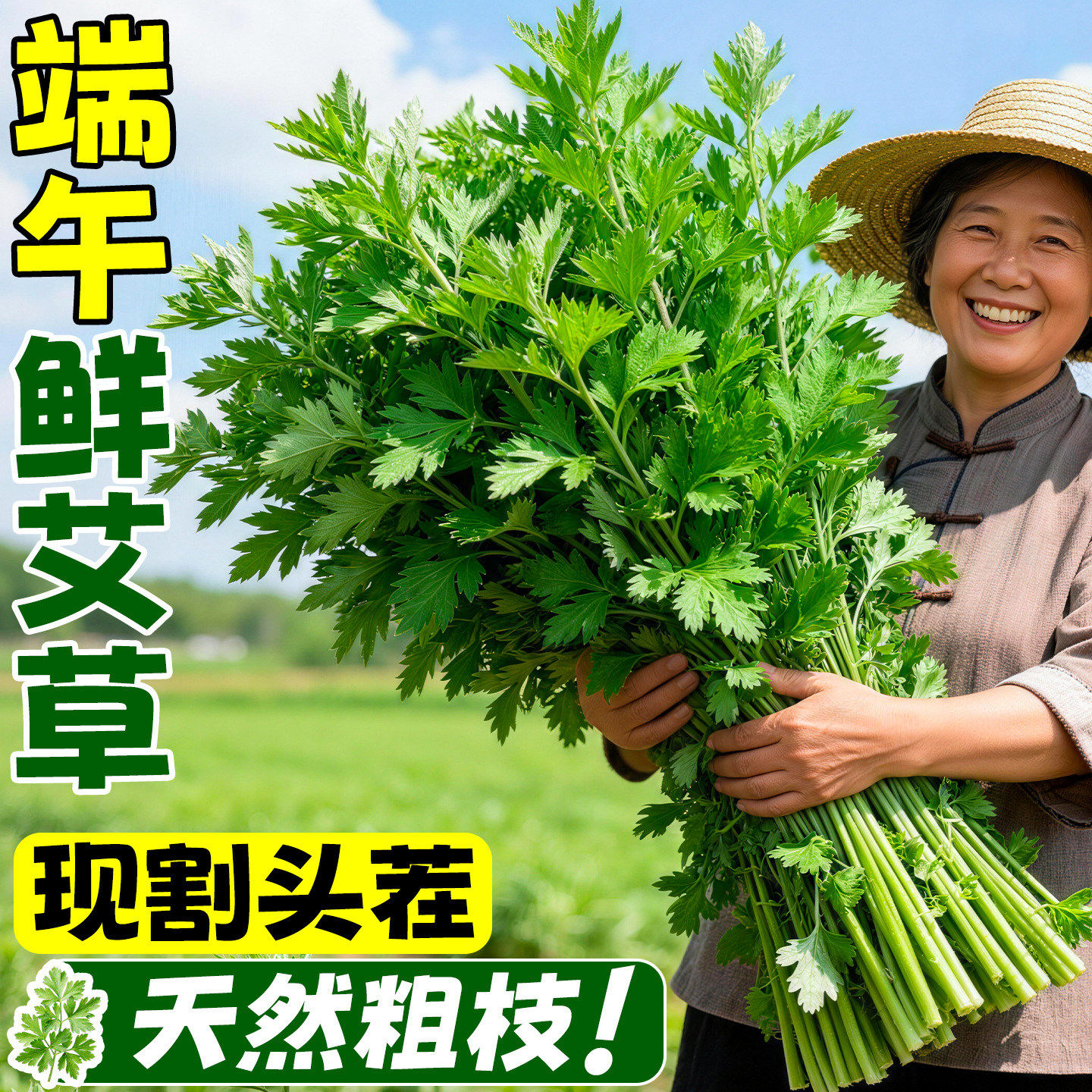 新鲜艾草现摘整棵带根野生嫩叶挂门食用盆栽端午青团菖蒲门挂驱蚊
