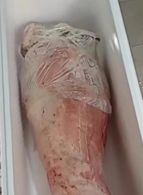 内蒙古草原羊肉整只羊腔子不带头羊肉春节礼品