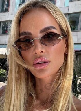 Fashion Small Polygonal Sunglasses for Women Luxury Brand Rm