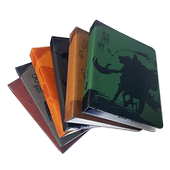 TW地风升吕布貂蝉卡游三国赵云关羽张飞九格三国杀九格水浒卡册