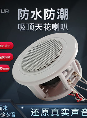 防潮天花喇叭广播背景音乐DNSUR