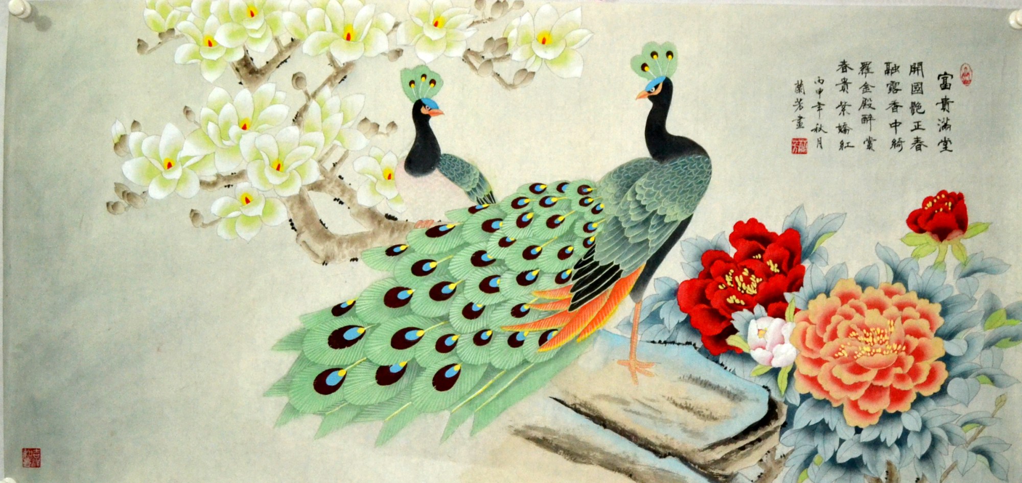 四尺玉兰孔雀工笔兰芳横幅国画花鸟字画手绘原稿装饰书房客厅中式