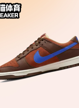 Nike Dunk Low 棕蓝色 男子低帮复古休闲运动板鞋 DR9704-200