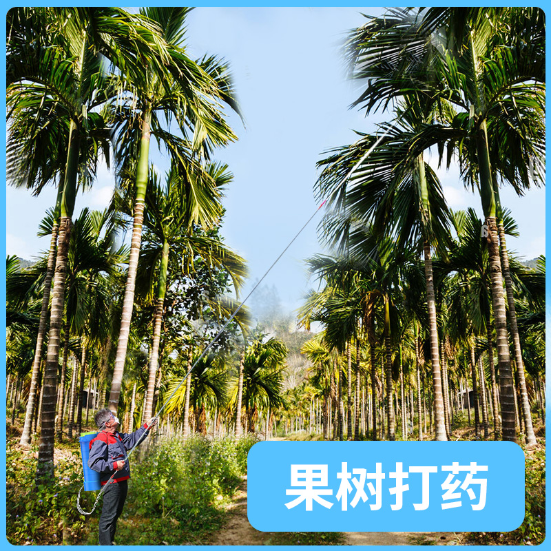 电动喷雾器果树充电农药喷洒喷壶高压农用锂电池背负式新型打药机