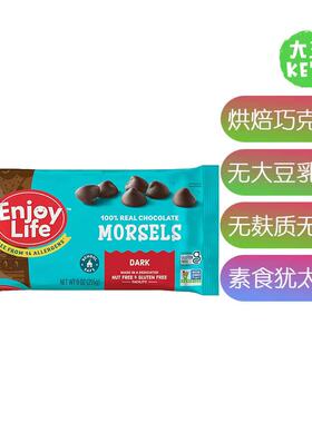 美国直邮 Enjoy Life Baking Dark Chocolate Morsels 黑巧克力片
