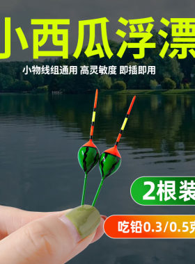 新款超灵敏西瓜漂溪流漂小物漂