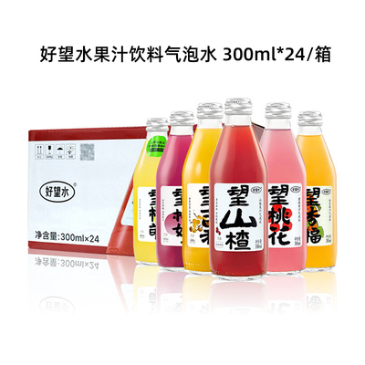 好望水果汁饮料气泡水玻璃瓶