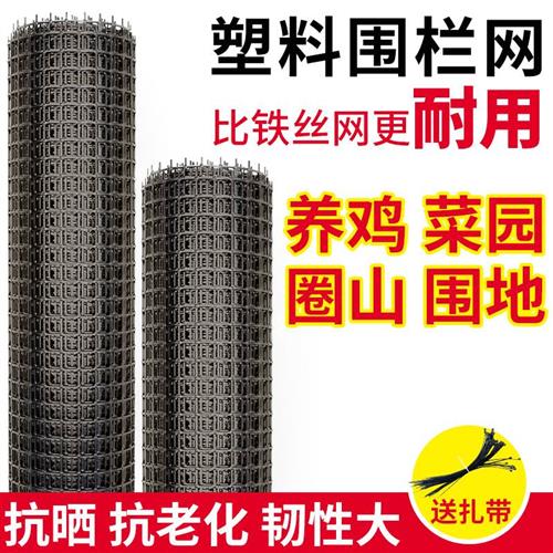 可定制鱼塘塑料围栏网塑料网养殖网护栏网养鸡网户外网植物攀爬果