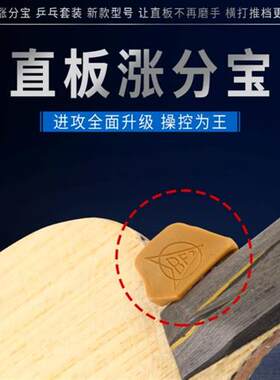 直板涨分宝乒乓防磨手推挡横打推档更流畅运动好搭档防滑乒乓套装