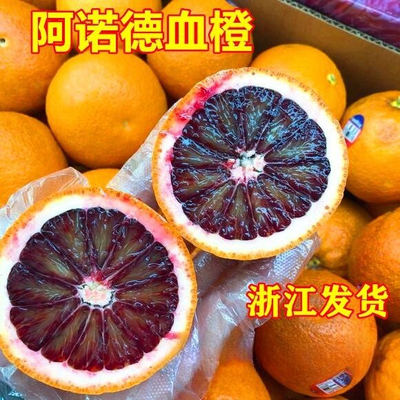 意大利阿诺德血橙苗 有玫瑰香味橙子树苗 南方北方种植当年结果