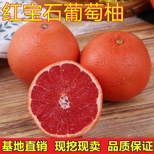 红宝石葡萄柚苗带土南北方庭院地栽果树盆栽嫁接柚子树苗当年结果