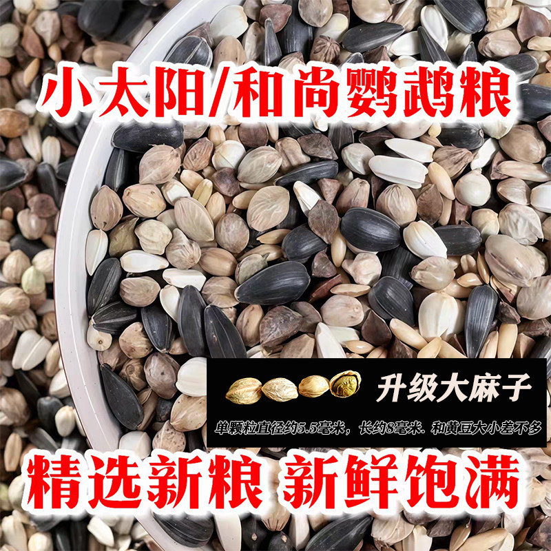 玄凤金太阳和尚小太阳鹦鹉鸟粮食鸟食