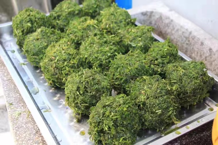 2022新鲜蒿子蒿团野生嫩蒿子非刺头蒿500克