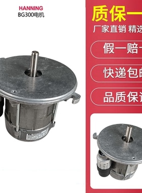 百通燃烧机电机风机STG146、BG300、BG400、BG450、BG550、BG650