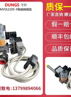 原装冬斯DUNGS燃气电磁阀 利雅路燃烧器配套阀组MVDLE205/5 210/5