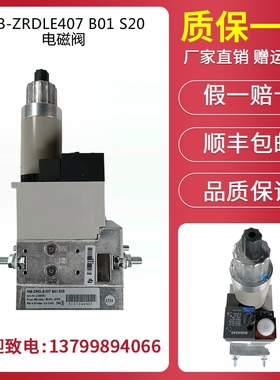 冬斯DUNGSMB-ZRDLE410 412 415 420B01S20燃气阀组MB-ZRDLE407S50