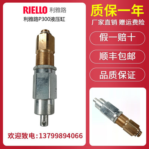 利雅路燃烧机液压缸P300