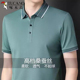 爸爸装 啄木鸟新款 中年宽松半袖 t恤男冰丝翻领POLO衫 桑蚕丝短袖