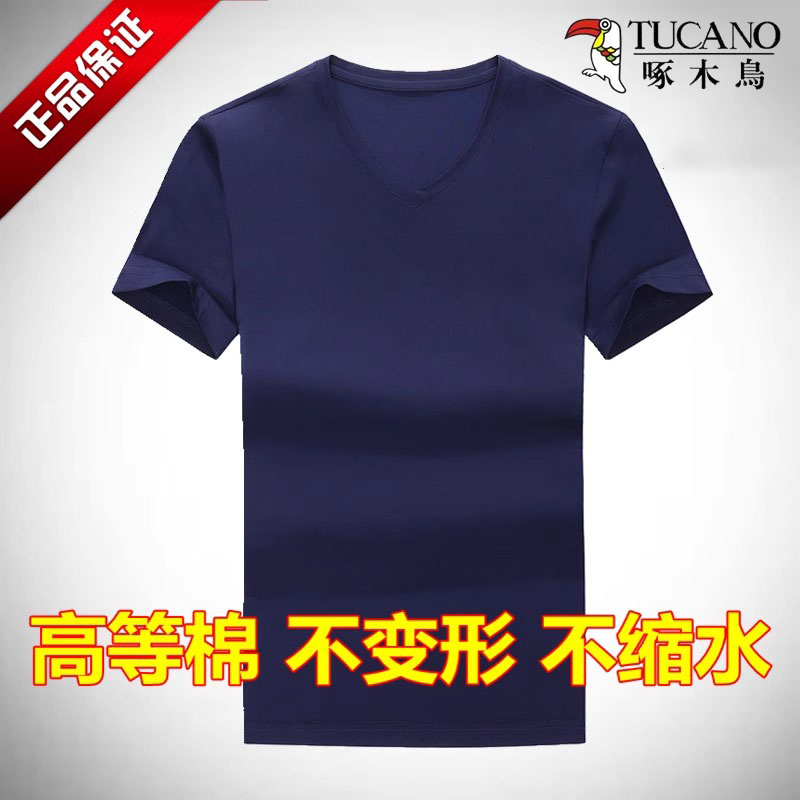 啄木鸟大牌夏季男士短袖t恤