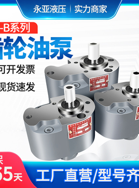 齿轮泵CB-B6/B4/B10/B2.5/B16/B20/25/B32F锯床Y车床液压输油泵TH
