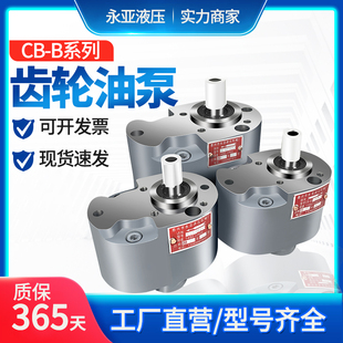 B10 B32F锯床Y车床液压输油泵TH 齿轮泵CB B20 B2.5 B16