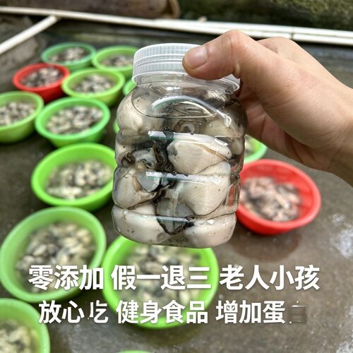 潮汕生蚝肉 去壳纯肉 无沙免洗 新鲜冷冻 火锅烧烤食材 坏单包赔