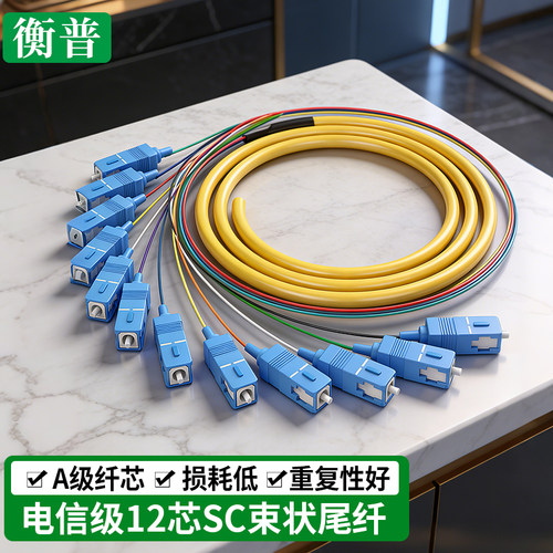 电信级SC12芯束状尾纤