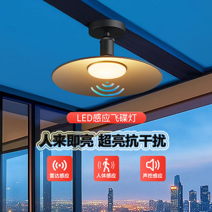 阳光房专用灯阳台吸顶灯防水庭院凉亭led感应吊灯超亮玻璃雨棚灯