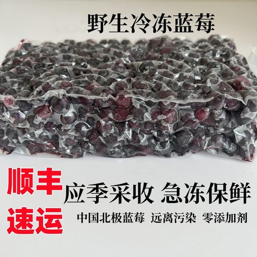 大兴安岭野生蓝莓都柿手摘果安疗