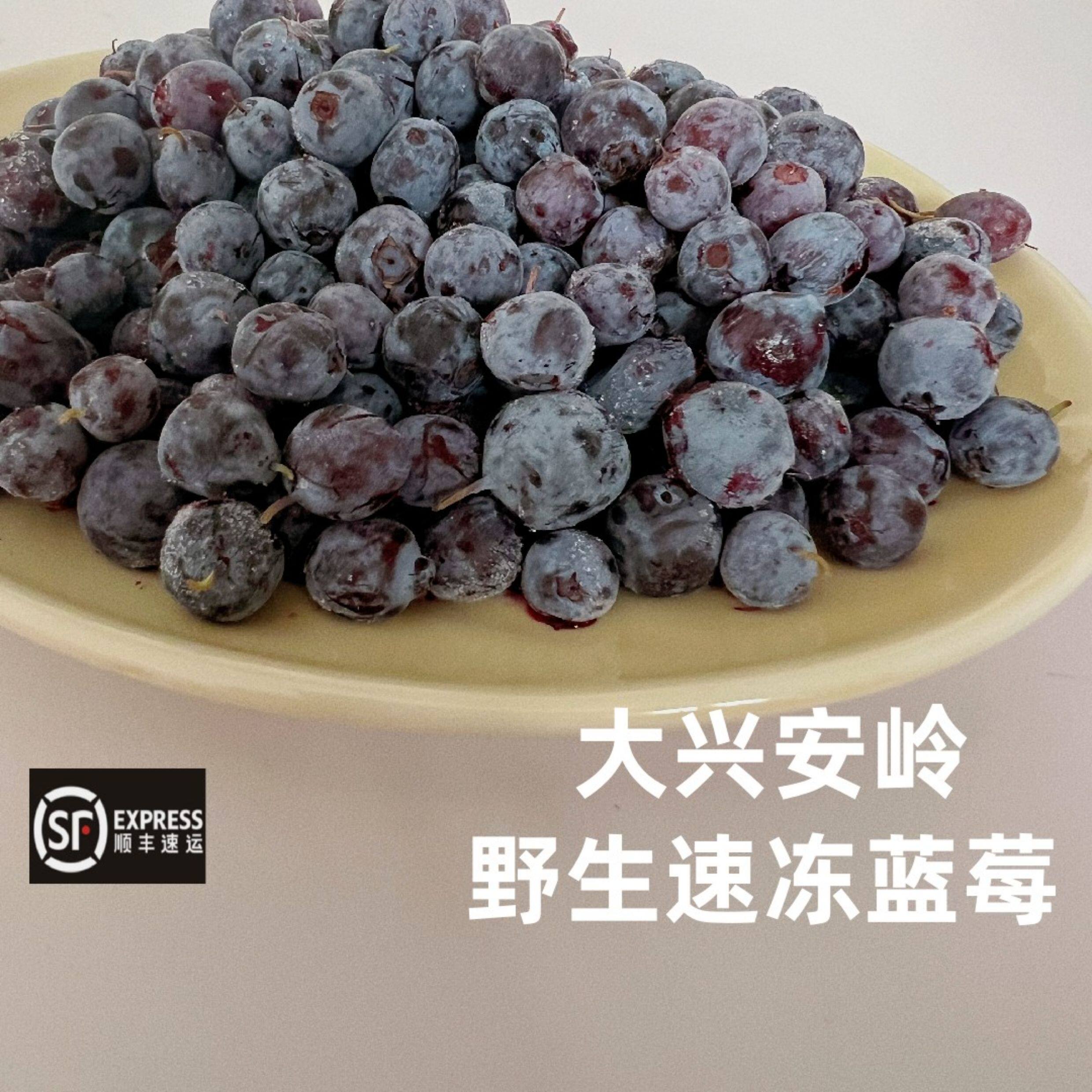 大兴安岭野生蓝莓速冻鲜果都柿蓝梅精选手摘果 发顺丰快递