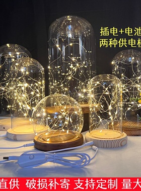 USB插电双用带灯防尘罩玻璃罩子