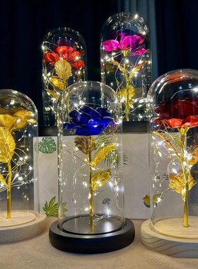 女朋友客厅金箔玫瑰花情人节