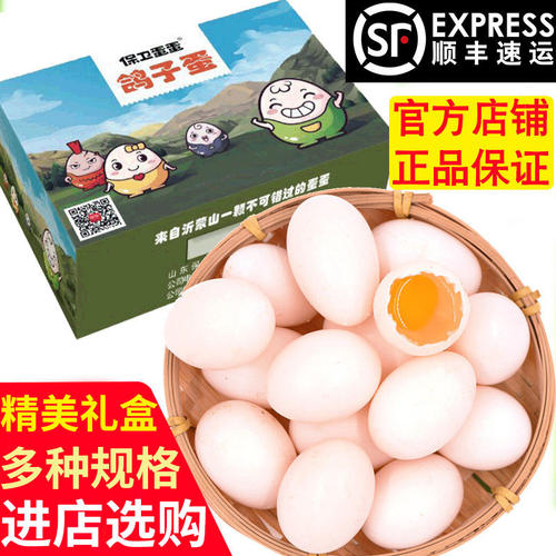 真正散养鸽子蛋只发当天蛋，孵化蛋联系客服