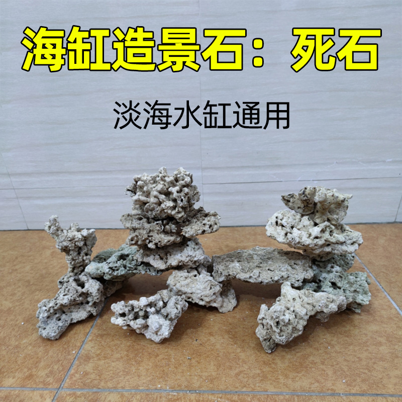 海水缸造景石淡海水通用