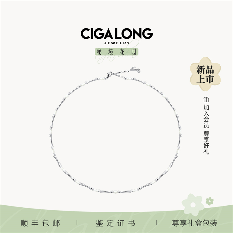 CIGALONGؾ԰ϵʽ鱦1399Ԫ