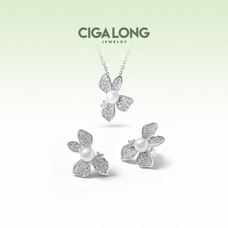 ¹׹ ʦCIGALONG¹Ʒ鱦560Ԫ