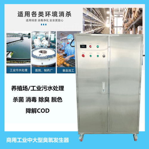 中大型商用臭氧200g臭氧发生器