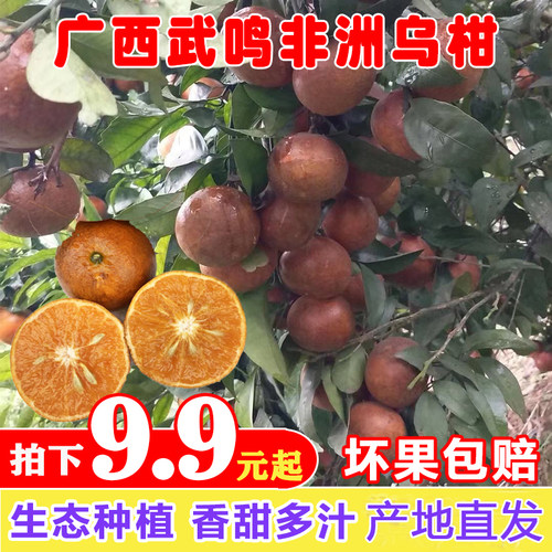 新鲜水果包邮现摘现发