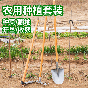 锄头家用种菜专用工具套装菜园铁锹耙子种地松土神器农用工具大全
