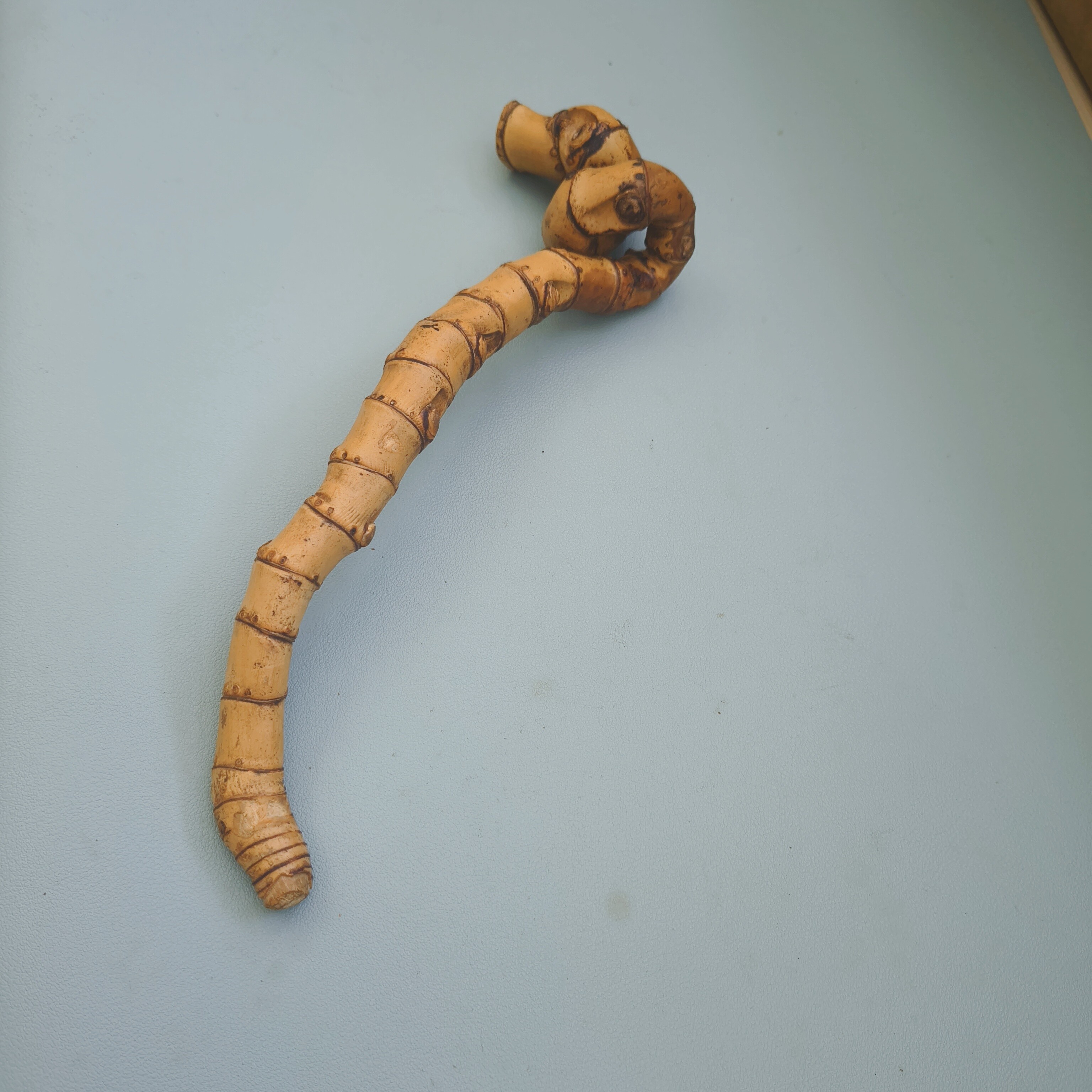 异形如意纯手工制作竹鞭竹根雕刻把玩件文玩工艺品摆件把件一物
