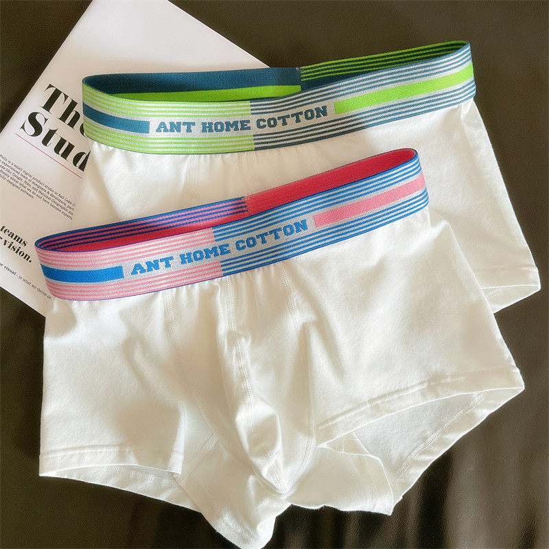 男士内裤纯棉吸汗透气平角裤潮流青年中腰四角裤夏季白色运动短裤,女士内衣/男士内衣/家居服,男平角内裤,淘宝优惠券,粉丝福利购,淘宝优惠卷